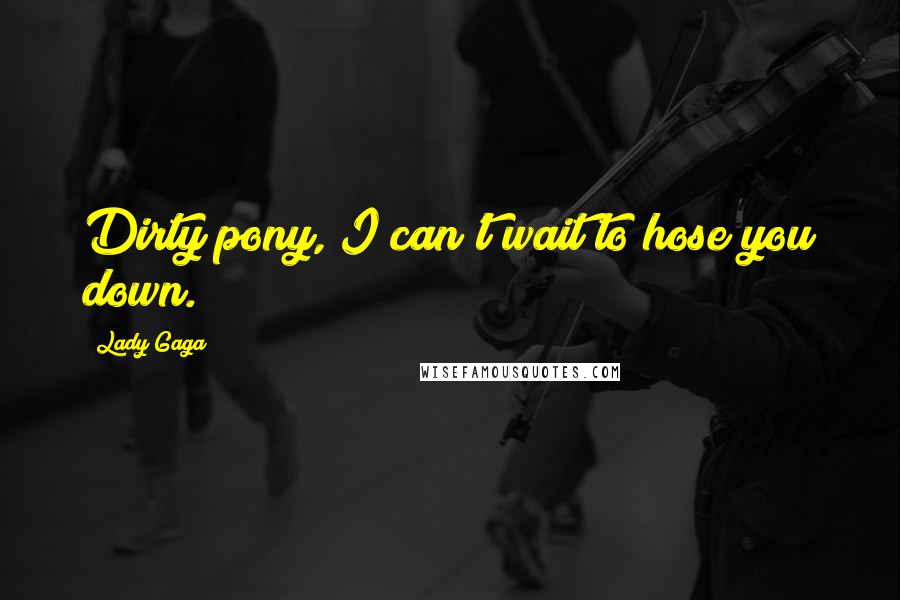 Lady Gaga Quotes: Dirty pony, I can't wait to hose you down.