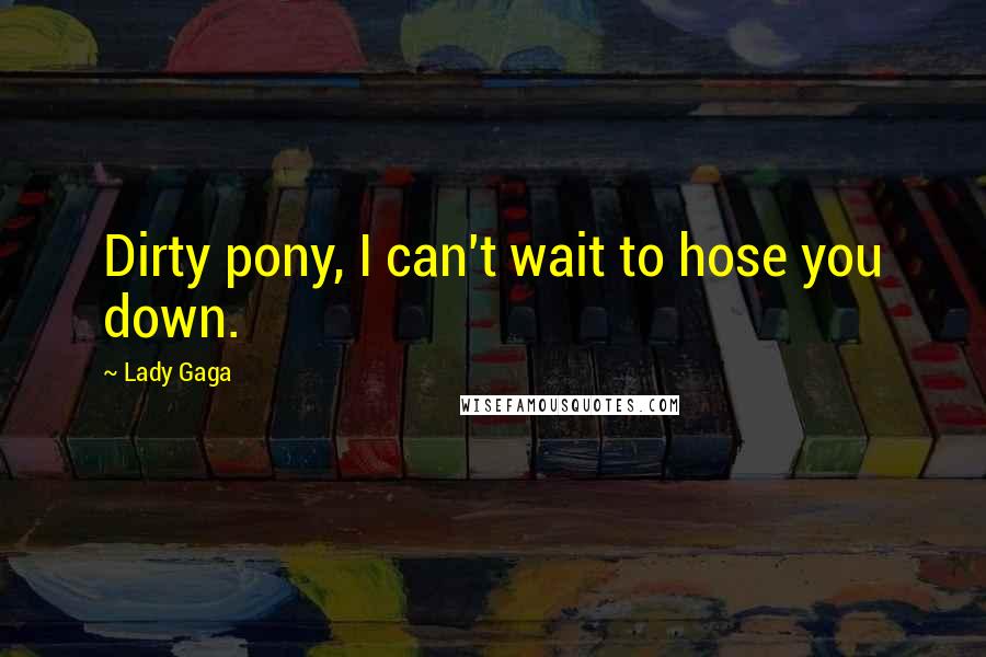 Lady Gaga Quotes: Dirty pony, I can't wait to hose you down.