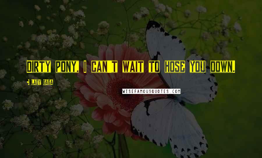 Lady Gaga Quotes: Dirty pony, I can't wait to hose you down.