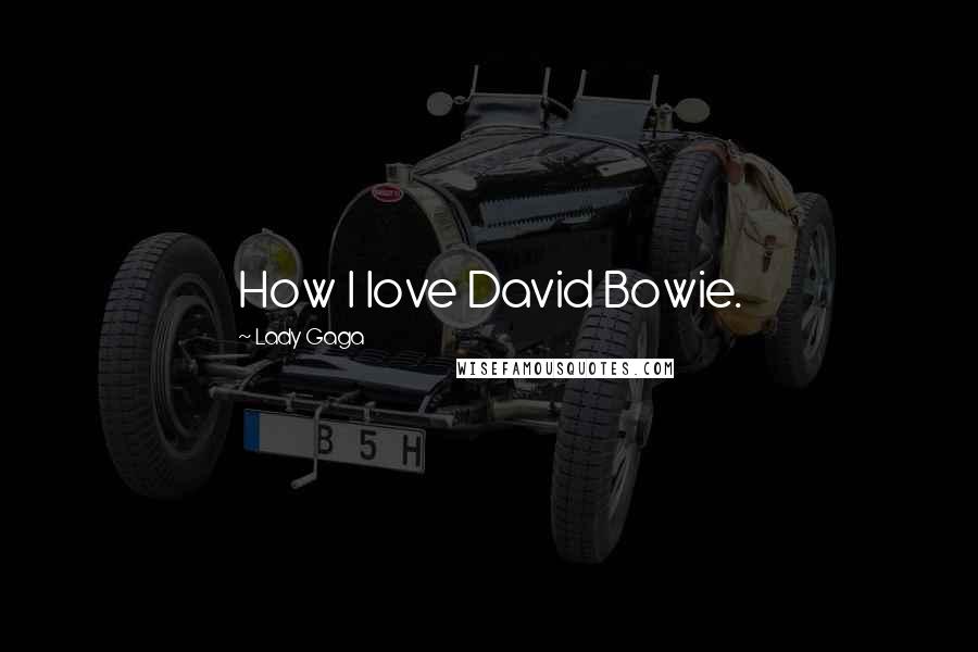 Lady Gaga Quotes: How I love David Bowie.