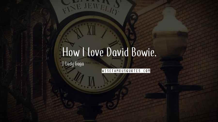 Lady Gaga Quotes: How I love David Bowie.