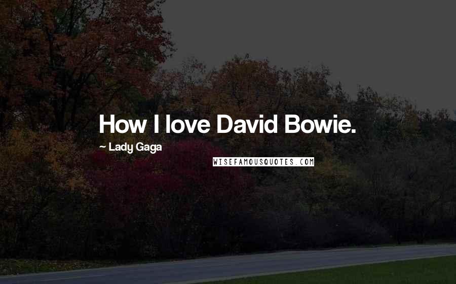 Lady Gaga Quotes: How I love David Bowie.