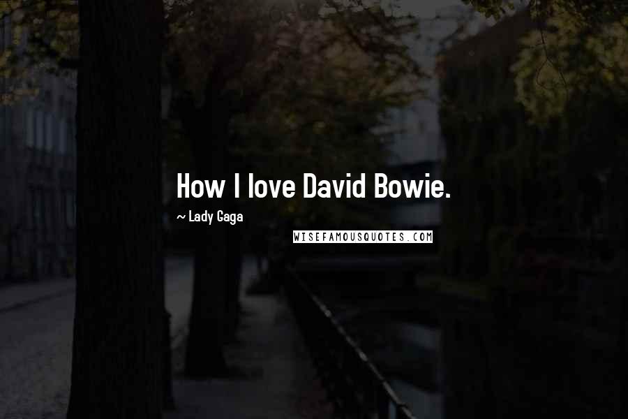 Lady Gaga Quotes: How I love David Bowie.