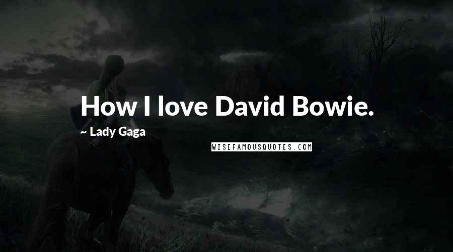 Lady Gaga Quotes: How I love David Bowie.