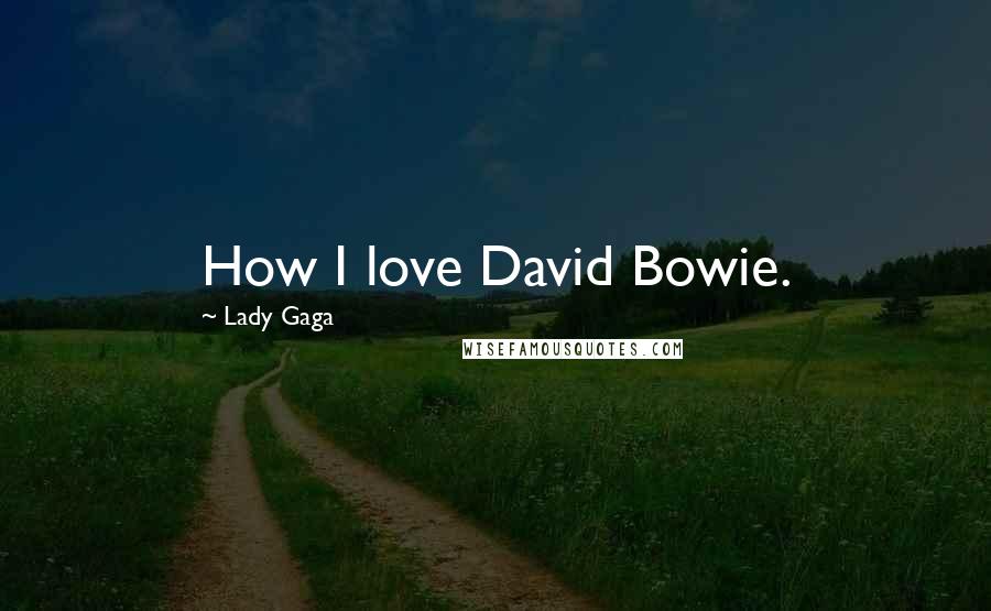 Lady Gaga Quotes: How I love David Bowie.