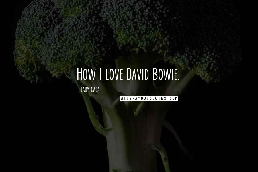 Lady Gaga Quotes: How I love David Bowie.