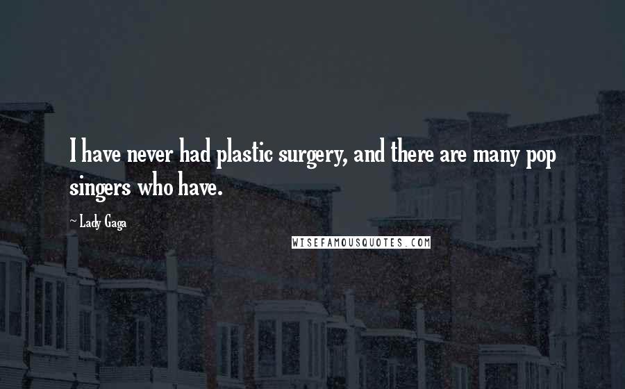Lady Gaga Quotes: I have never had plastic surgery, and there are many pop singers who have.