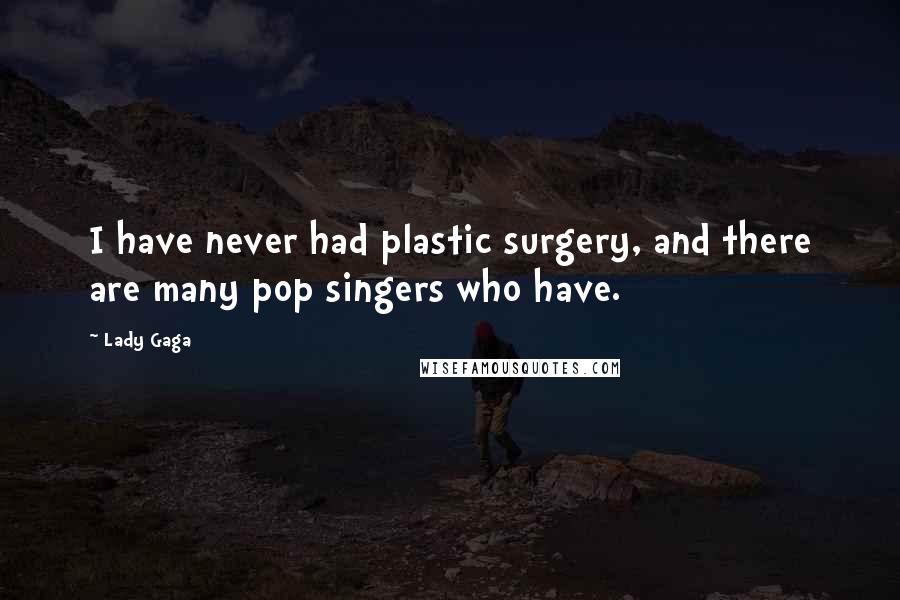 Lady Gaga Quotes: I have never had plastic surgery, and there are many pop singers who have.