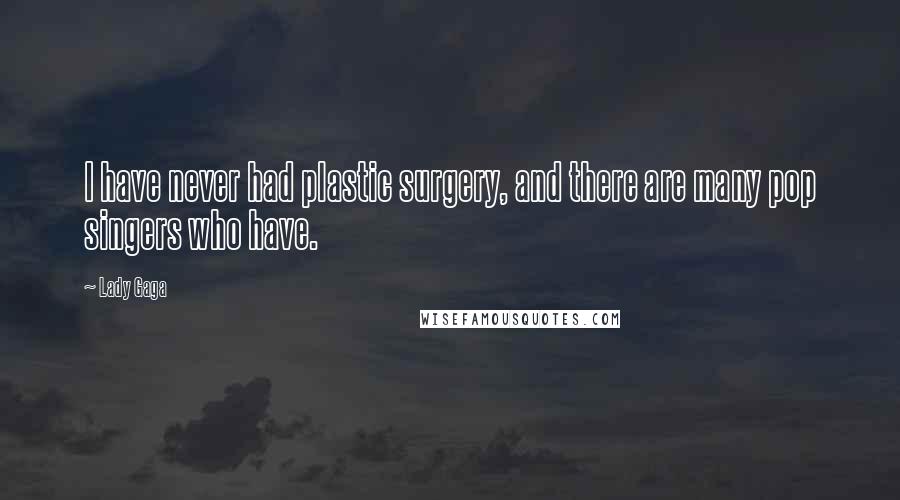 Lady Gaga Quotes: I have never had plastic surgery, and there are many pop singers who have.