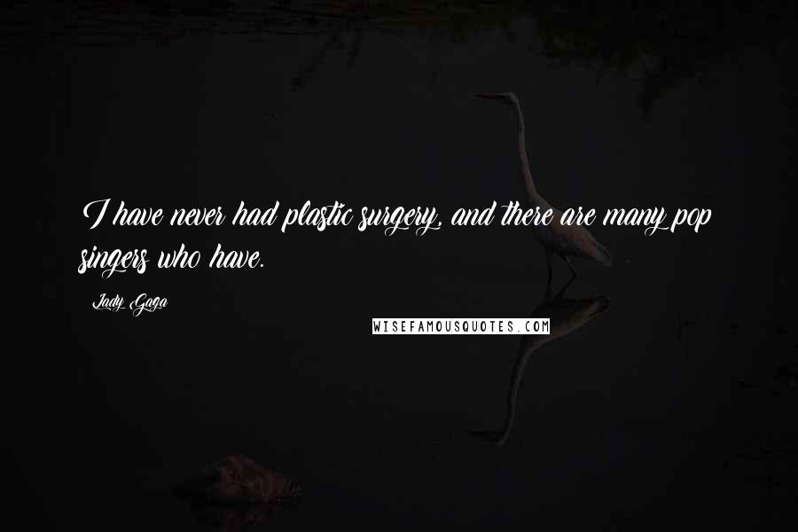 Lady Gaga Quotes: I have never had plastic surgery, and there are many pop singers who have.