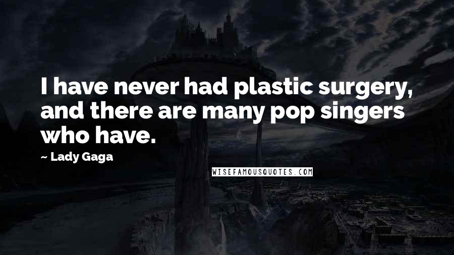 Lady Gaga Quotes: I have never had plastic surgery, and there are many pop singers who have.