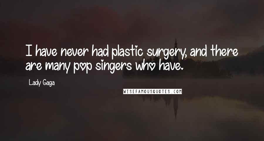 Lady Gaga Quotes: I have never had plastic surgery, and there are many pop singers who have.
