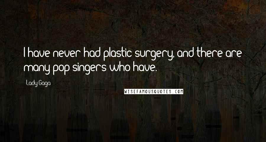 Lady Gaga Quotes: I have never had plastic surgery, and there are many pop singers who have.