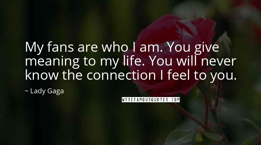Lady Gaga Quotes: My fans are who I am. You give meaning to my life. You will never know the connection I feel to you.