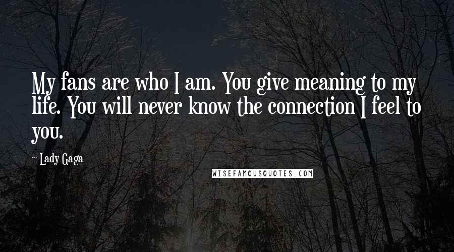 Lady Gaga Quotes: My fans are who I am. You give meaning to my life. You will never know the connection I feel to you.