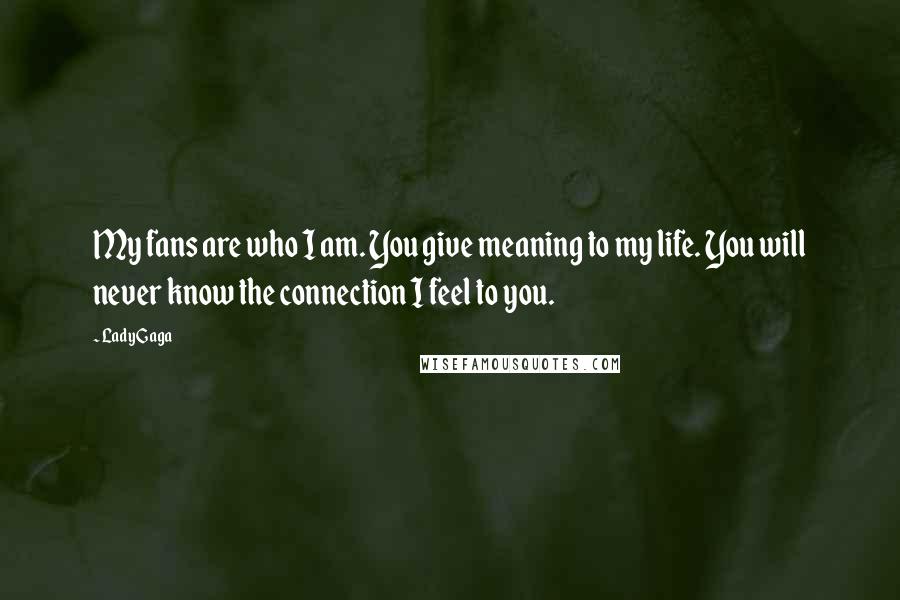 Lady Gaga Quotes: My fans are who I am. You give meaning to my life. You will never know the connection I feel to you.