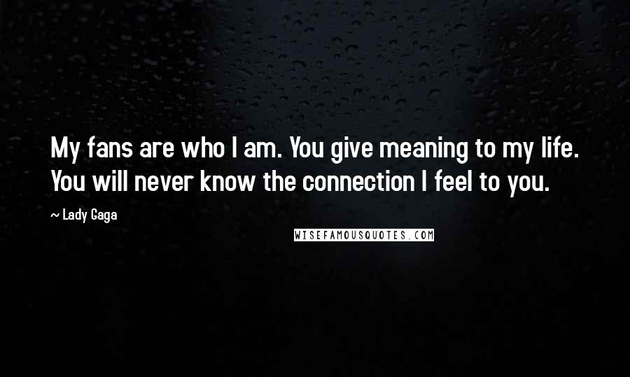 Lady Gaga Quotes: My fans are who I am. You give meaning to my life. You will never know the connection I feel to you.