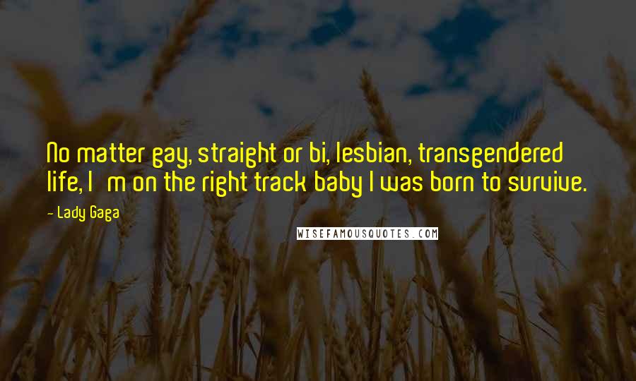 Lady Gaga Quotes: No matter gay, straight or bi, lesbian, transgendered life, I'm on the right track baby I was born to survive.