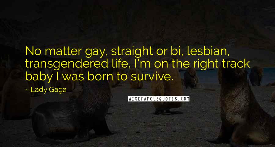 Lady Gaga Quotes: No matter gay, straight or bi, lesbian, transgendered life, I'm on the right track baby I was born to survive.