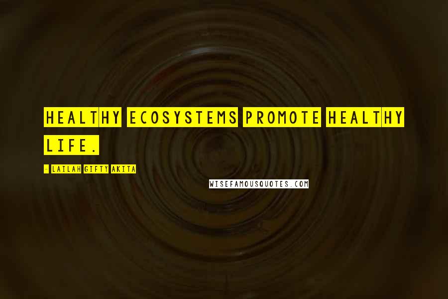 Lailah Gifty Akita Quotes: Healthy ecosystems promote healthy life.