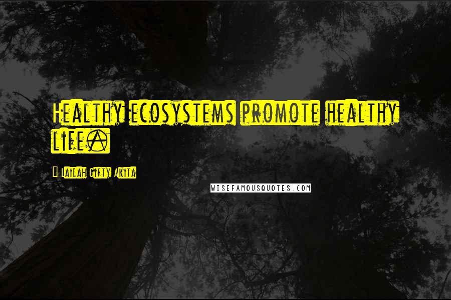 Lailah Gifty Akita Quotes: Healthy ecosystems promote healthy life.