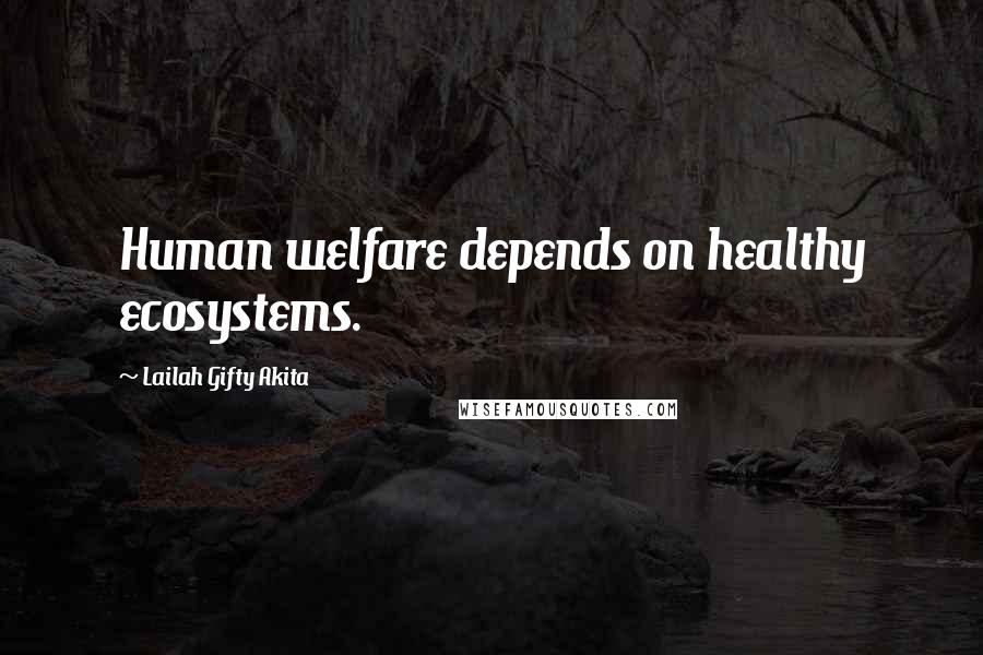 Lailah Gifty Akita Quotes: Human welfare depends on healthy ecosystems.