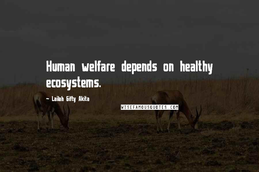 Lailah Gifty Akita Quotes: Human welfare depends on healthy ecosystems.