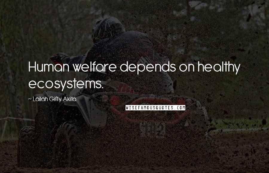 Lailah Gifty Akita Quotes: Human welfare depends on healthy ecosystems.