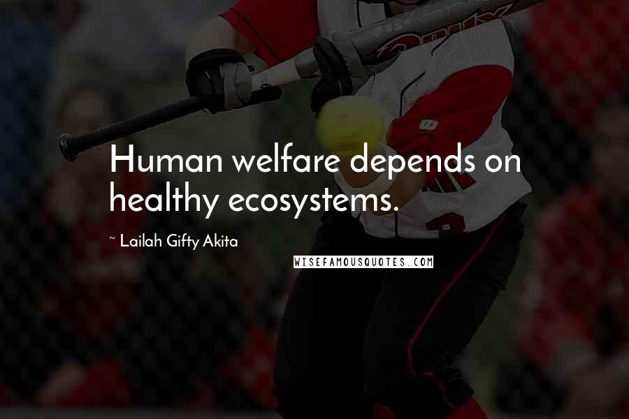 Lailah Gifty Akita Quotes: Human welfare depends on healthy ecosystems.