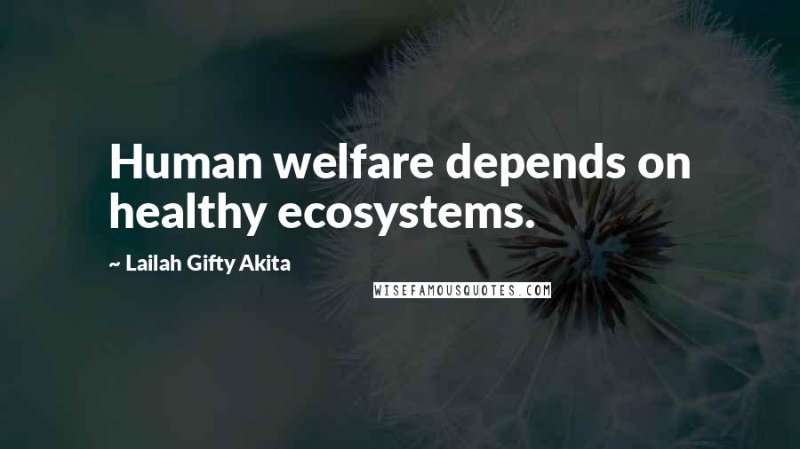 Lailah Gifty Akita Quotes: Human welfare depends on healthy ecosystems.