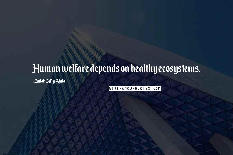 Lailah Gifty Akita Quotes: Human welfare depends on healthy ecosystems.