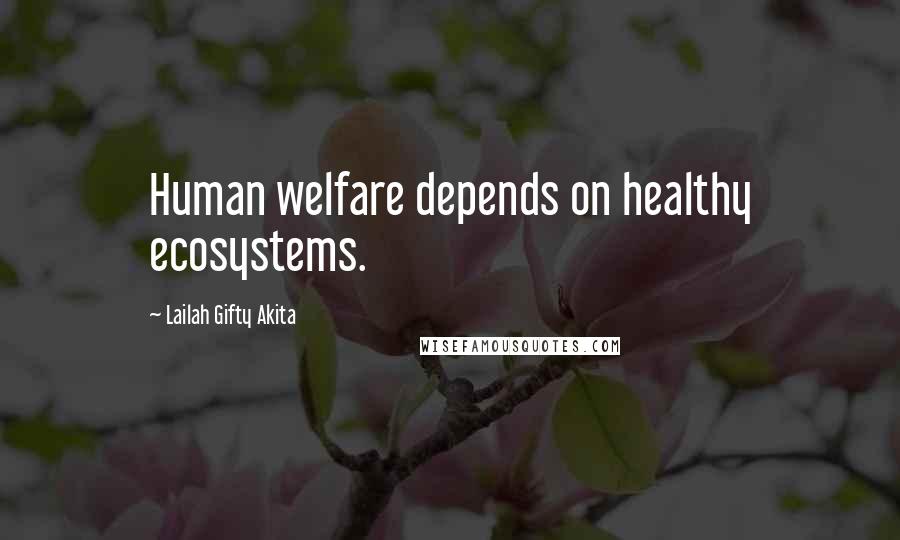 Lailah Gifty Akita Quotes: Human welfare depends on healthy ecosystems.