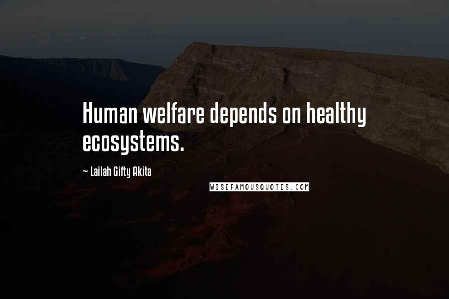 Lailah Gifty Akita Quotes: Human welfare depends on healthy ecosystems.