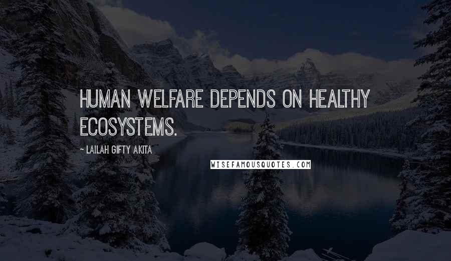 Lailah Gifty Akita Quotes: Human welfare depends on healthy ecosystems.