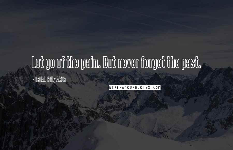 Lailah Gifty Akita Quotes: Let go of the pain. But never forget the past.