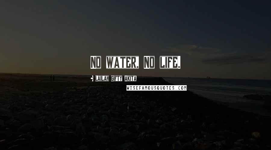 Lailah Gifty Akita Quotes: No water, No life.