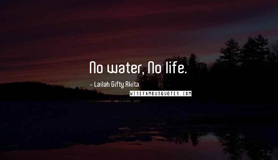 Lailah Gifty Akita Quotes: No water, No life.