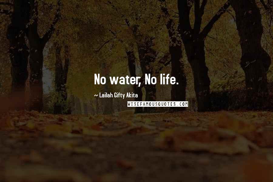 Lailah Gifty Akita Quotes: No water, No life.