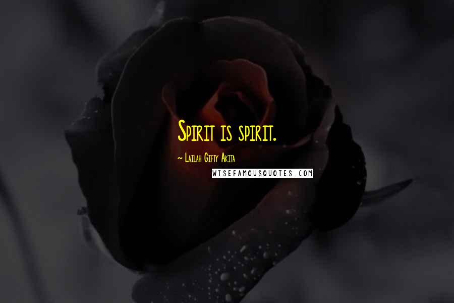 Lailah Gifty Akita Quotes: Spirit is spirit.