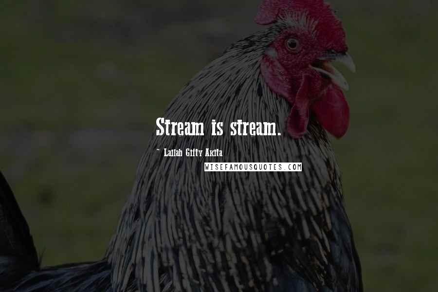 Lailah Gifty Akita Quotes: Stream is stream.