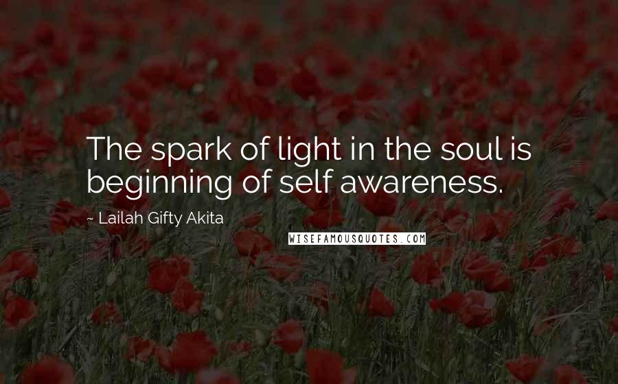 Lailah Gifty Akita Quotes: The spark of light in the soul is beginning of self awareness.