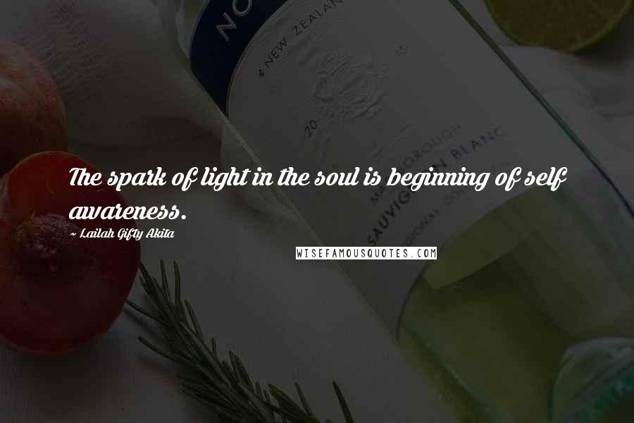 Lailah Gifty Akita Quotes: The spark of light in the soul is beginning of self awareness.