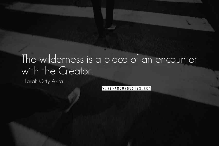 Lailah Gifty Akita Quotes: The wilderness is a place of an encounter with the Creator.