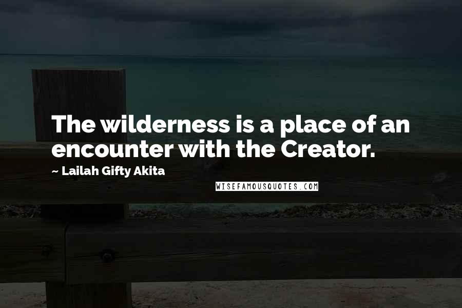 Lailah Gifty Akita Quotes: The wilderness is a place of an encounter with the Creator.