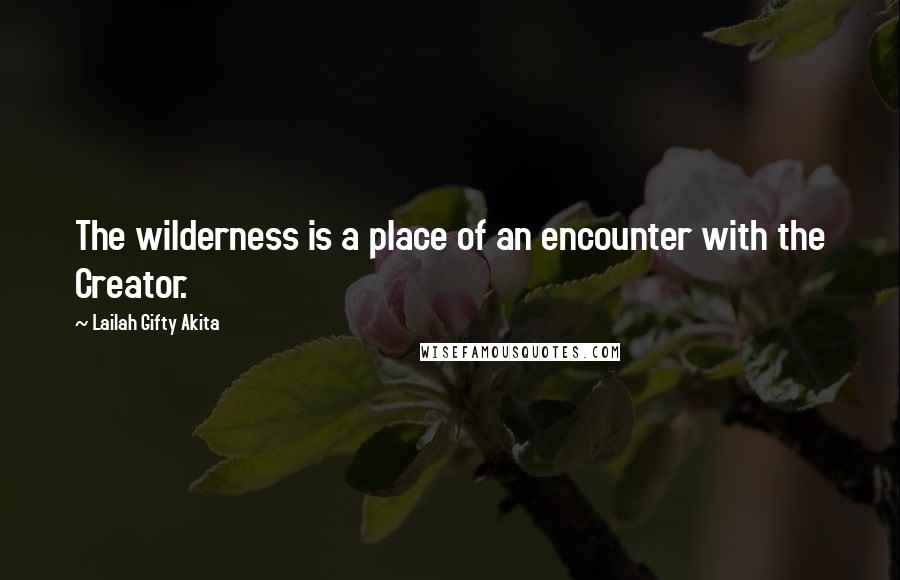 Lailah Gifty Akita Quotes: The wilderness is a place of an encounter with the Creator.