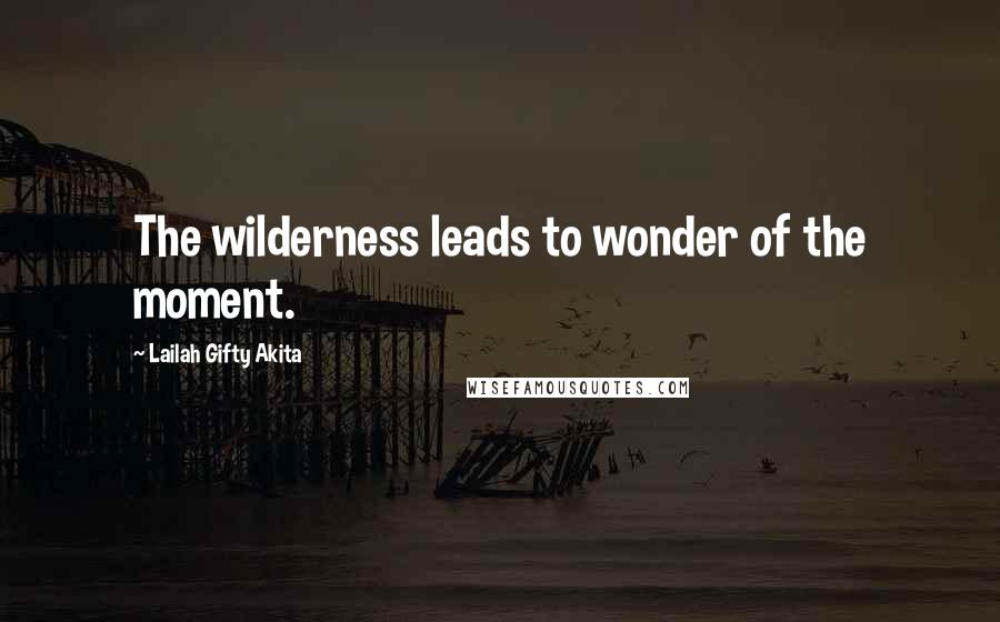 Lailah Gifty Akita Quotes: The wilderness leads to wonder of the moment.