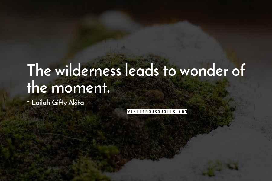 Lailah Gifty Akita Quotes: The wilderness leads to wonder of the moment.