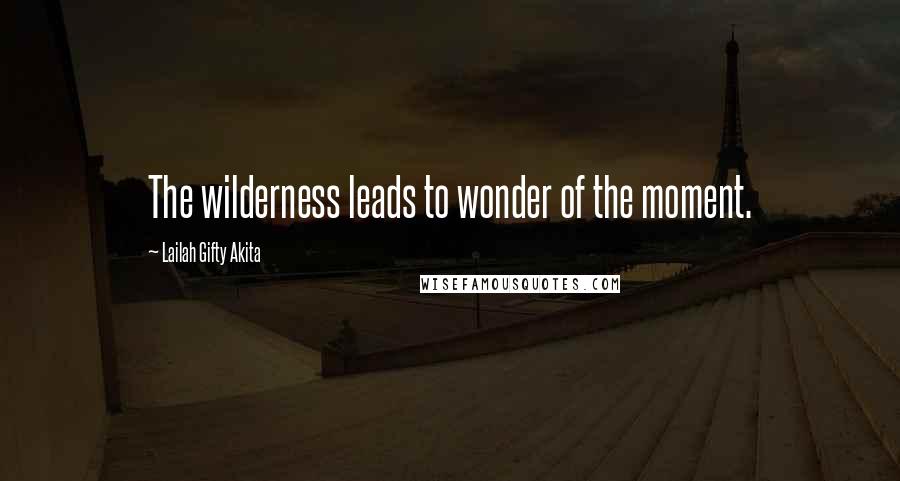 Lailah Gifty Akita Quotes: The wilderness leads to wonder of the moment.