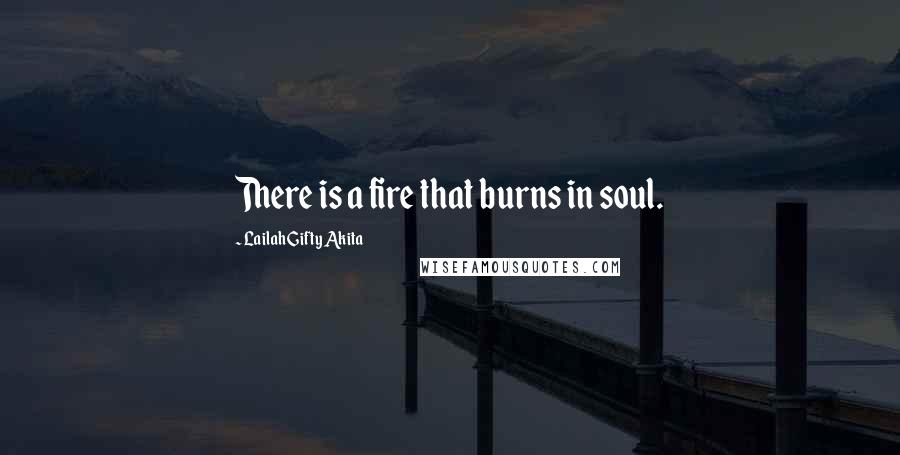Lailah Gifty Akita Quotes: There is a fire that burns in soul.