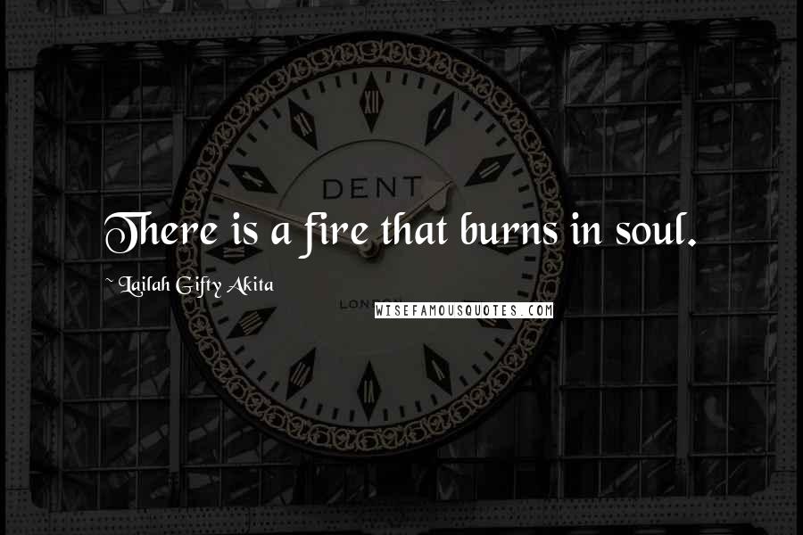 Lailah Gifty Akita Quotes: There is a fire that burns in soul.